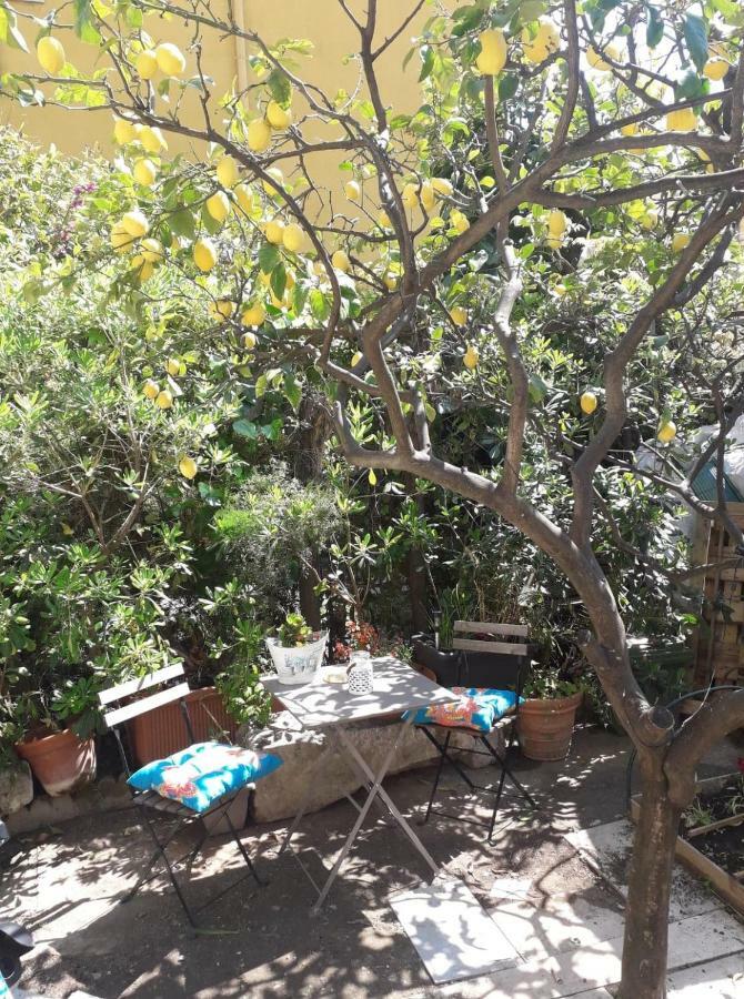 Les Violettes Appartamento